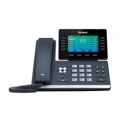 16 Line IP HD Phone with 4.3'' 480x272 colour screen